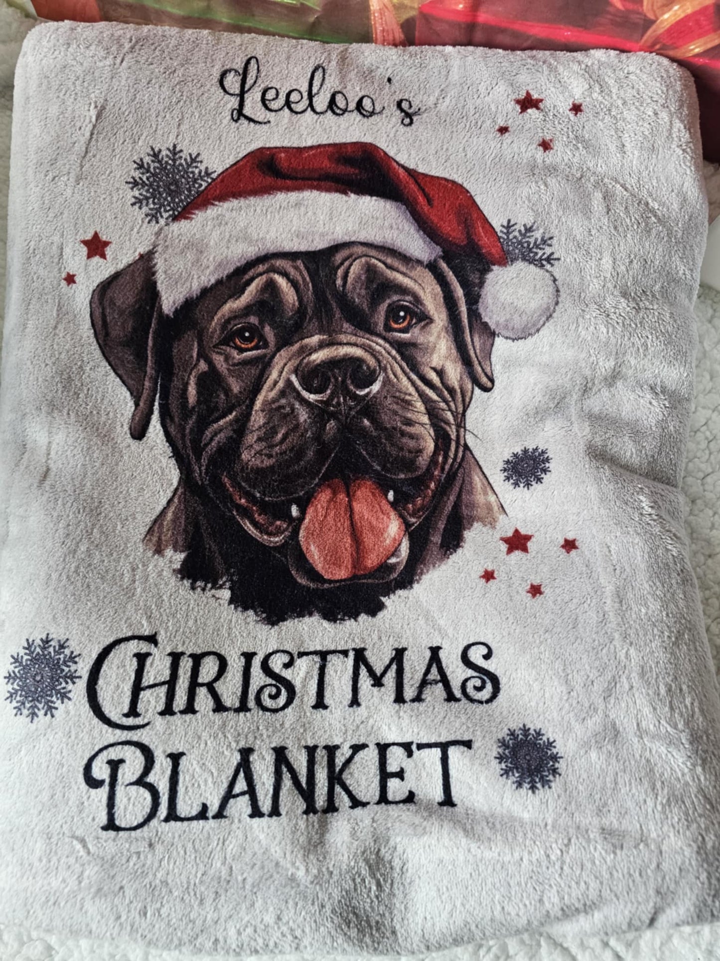 Personalised Pet Christmas Bundle