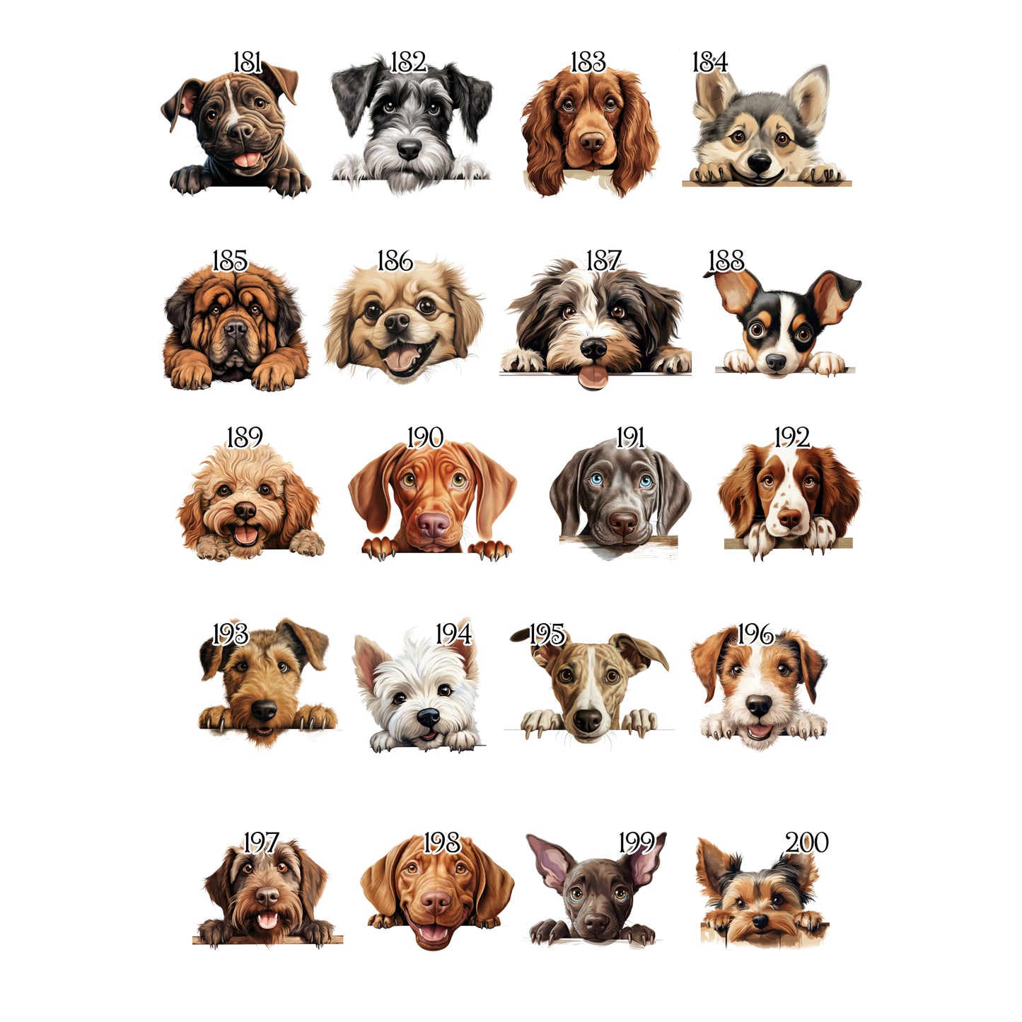 Personalised Dog Blanket