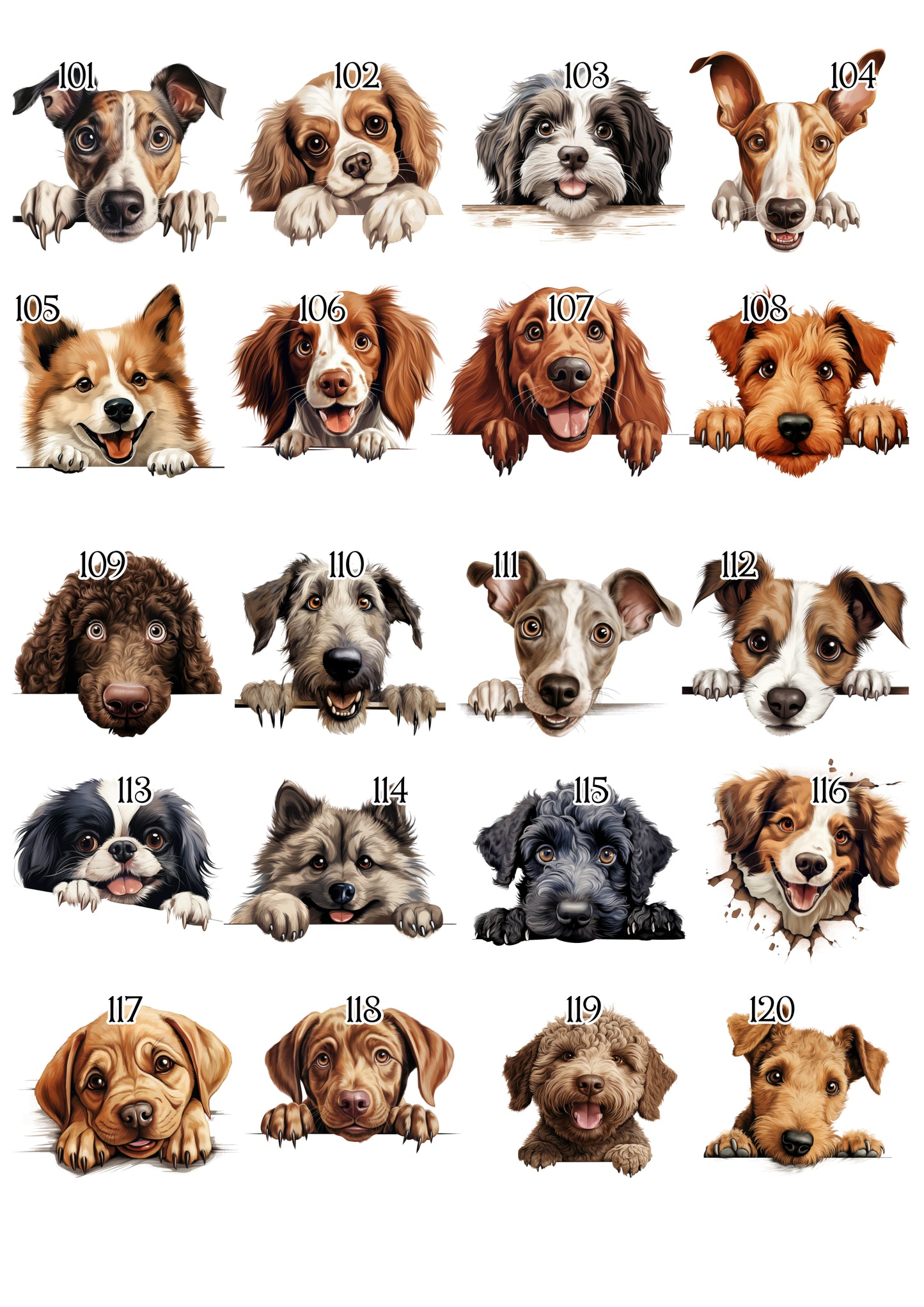 Personalised Dog Blanket