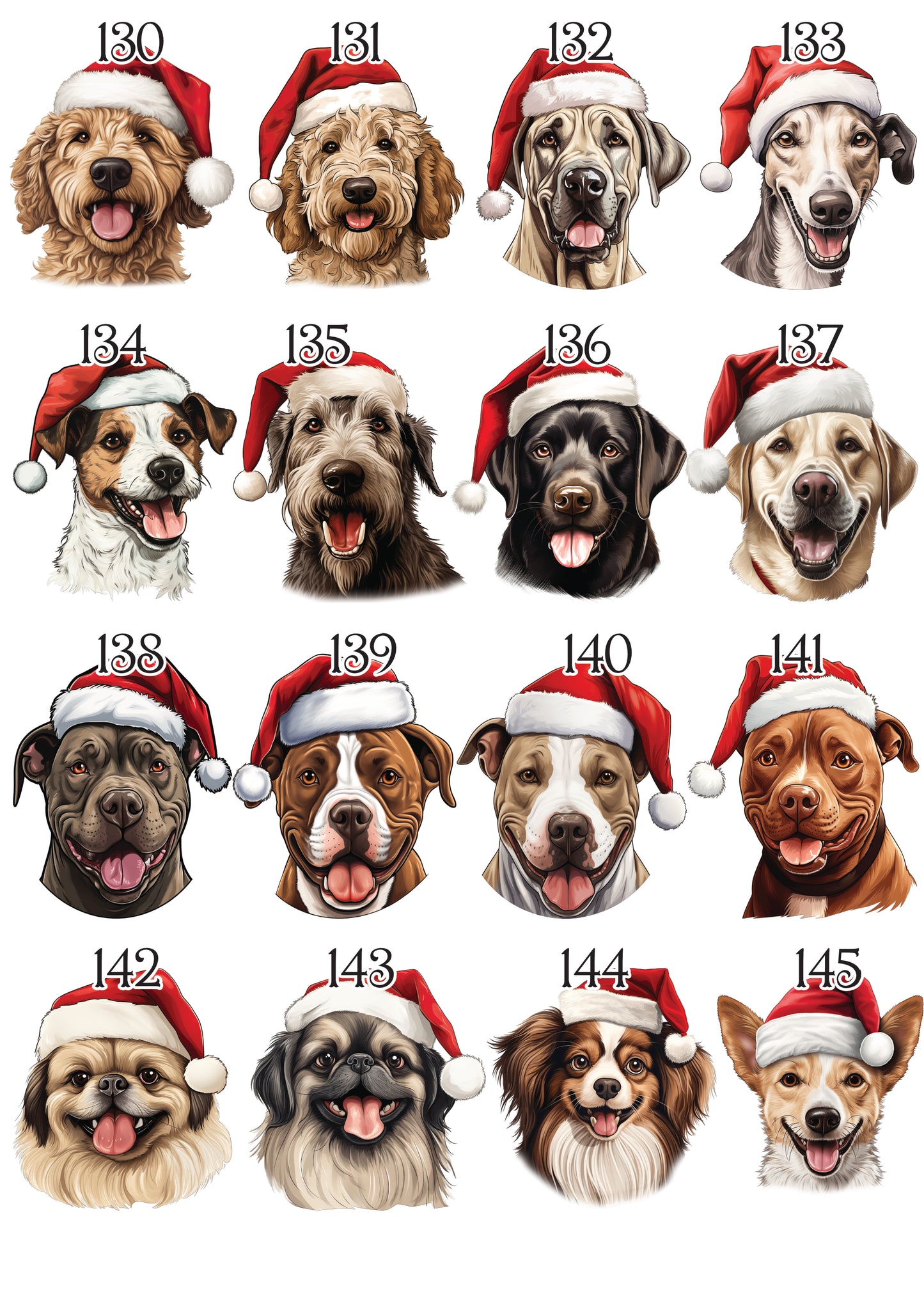Personalised Pet Christmas Bundle