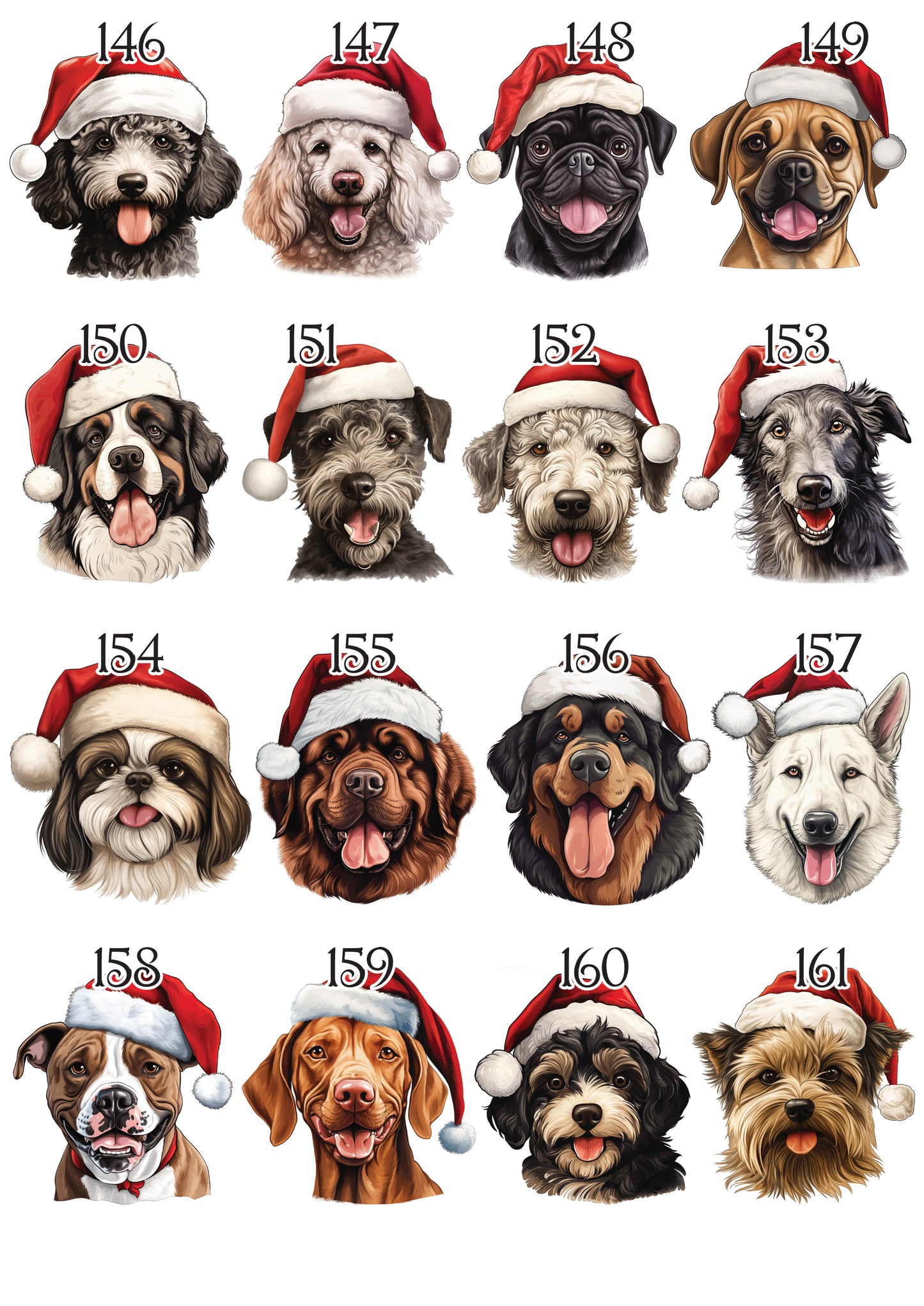 Personalised Pet Christmas Bundle