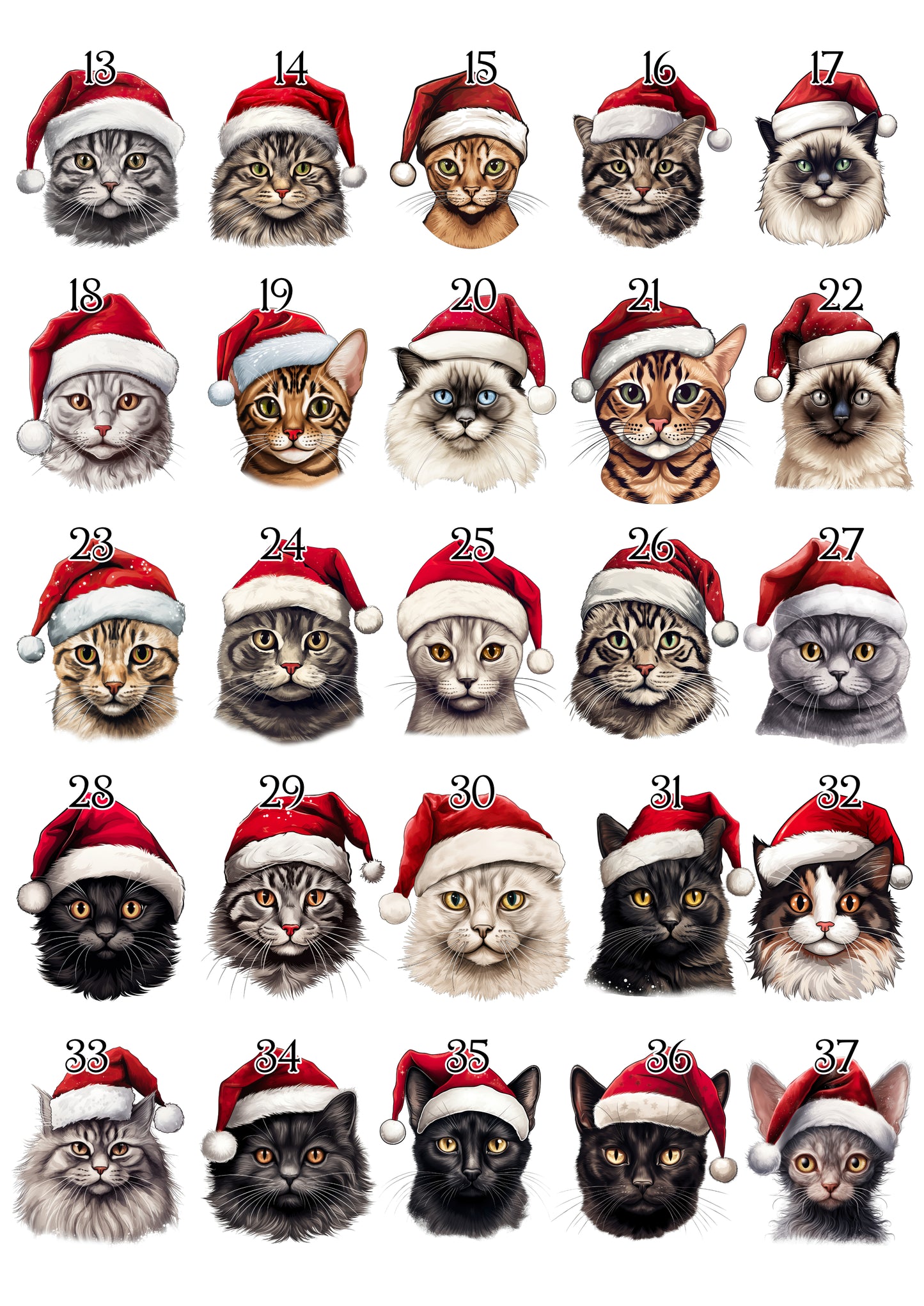 Personalised Santa Paws Cat Christmas Stocking