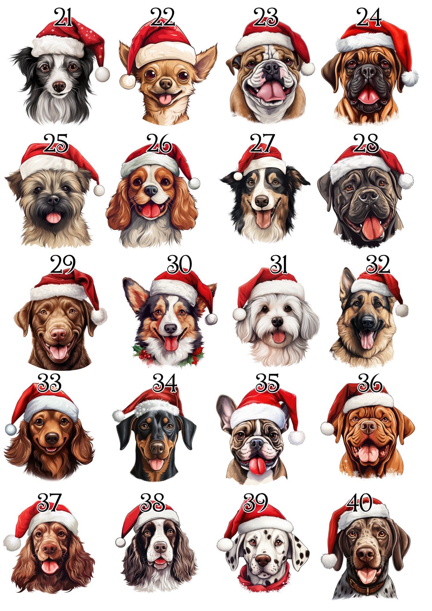 Personalised Pet Christmas Bundle
