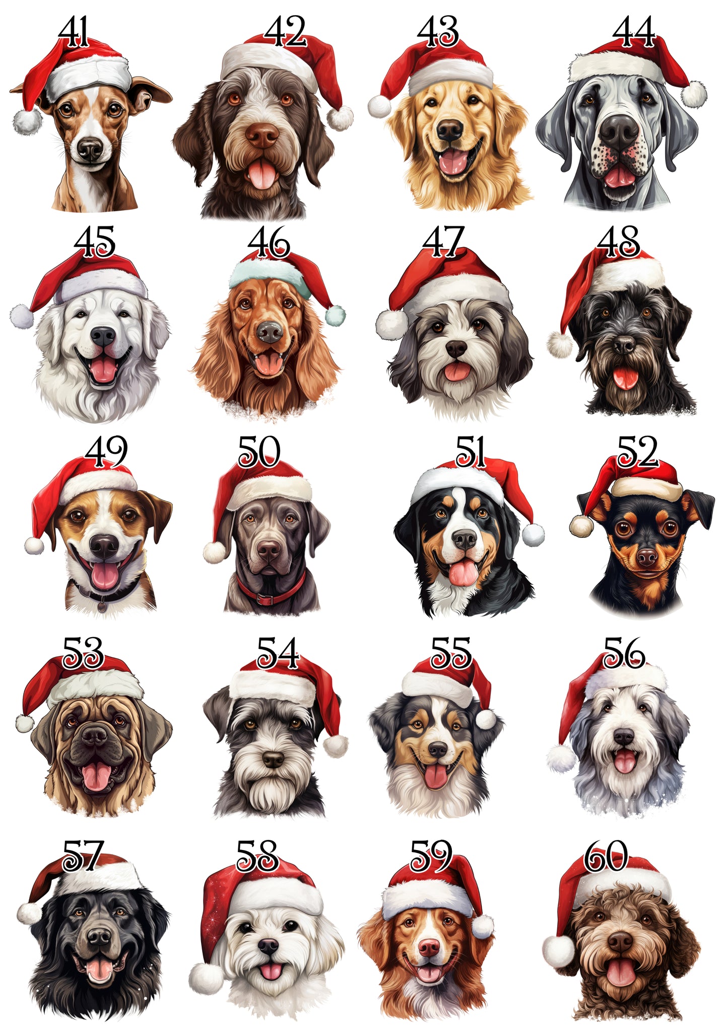 Personalised Pet Christmas Bundle