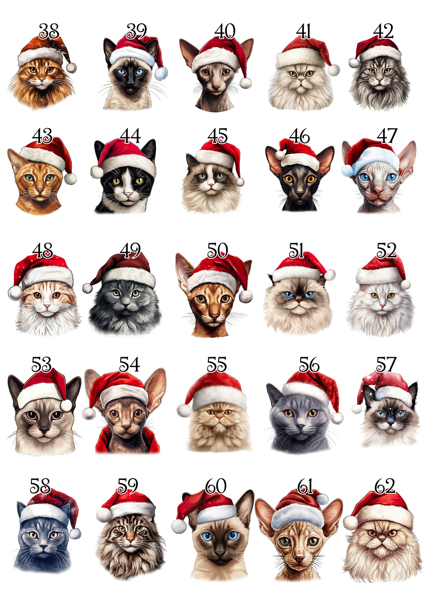 Personalised Santa Paws Cat Treat Boxes