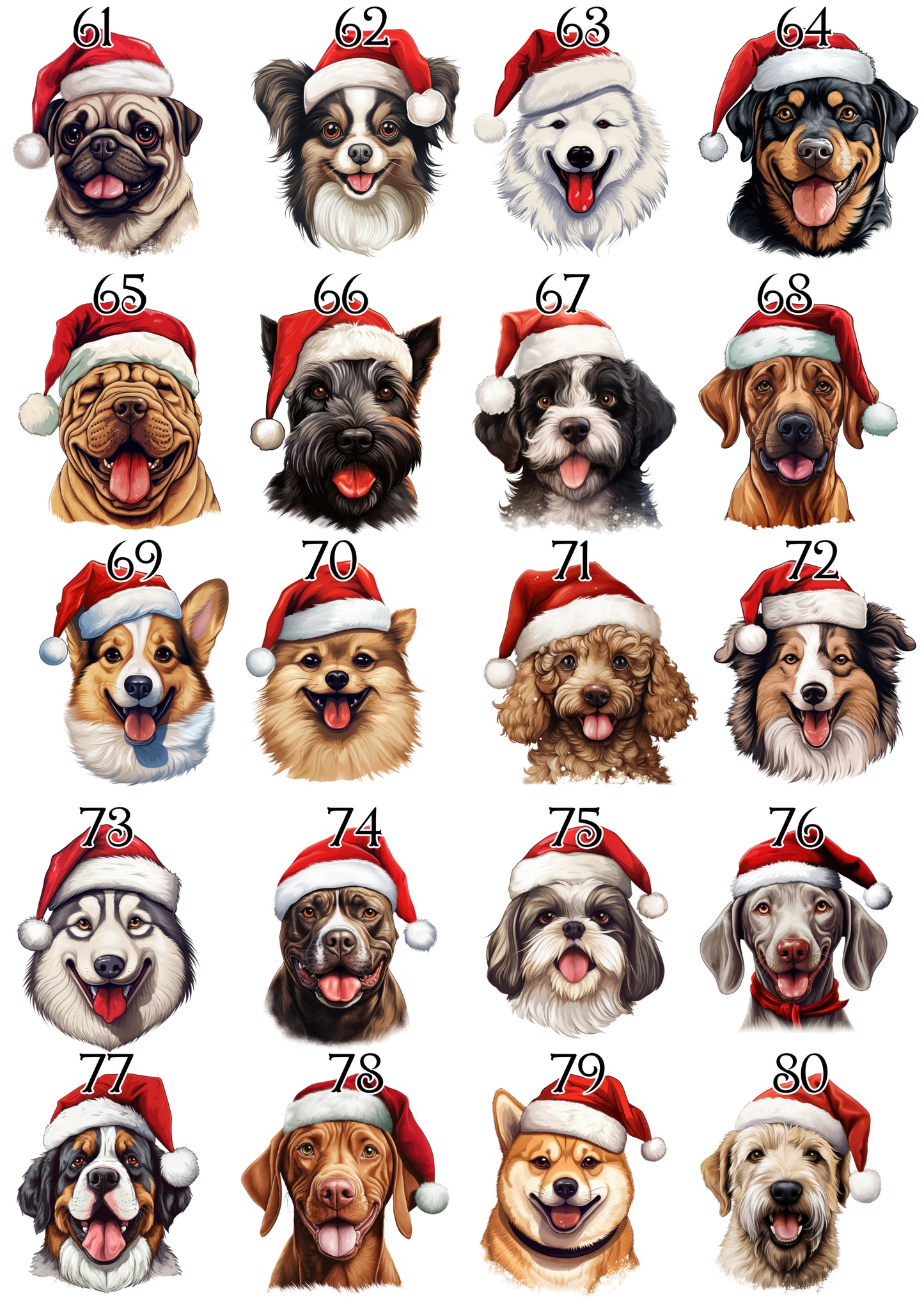 Personalised Pet Christmas Bundle