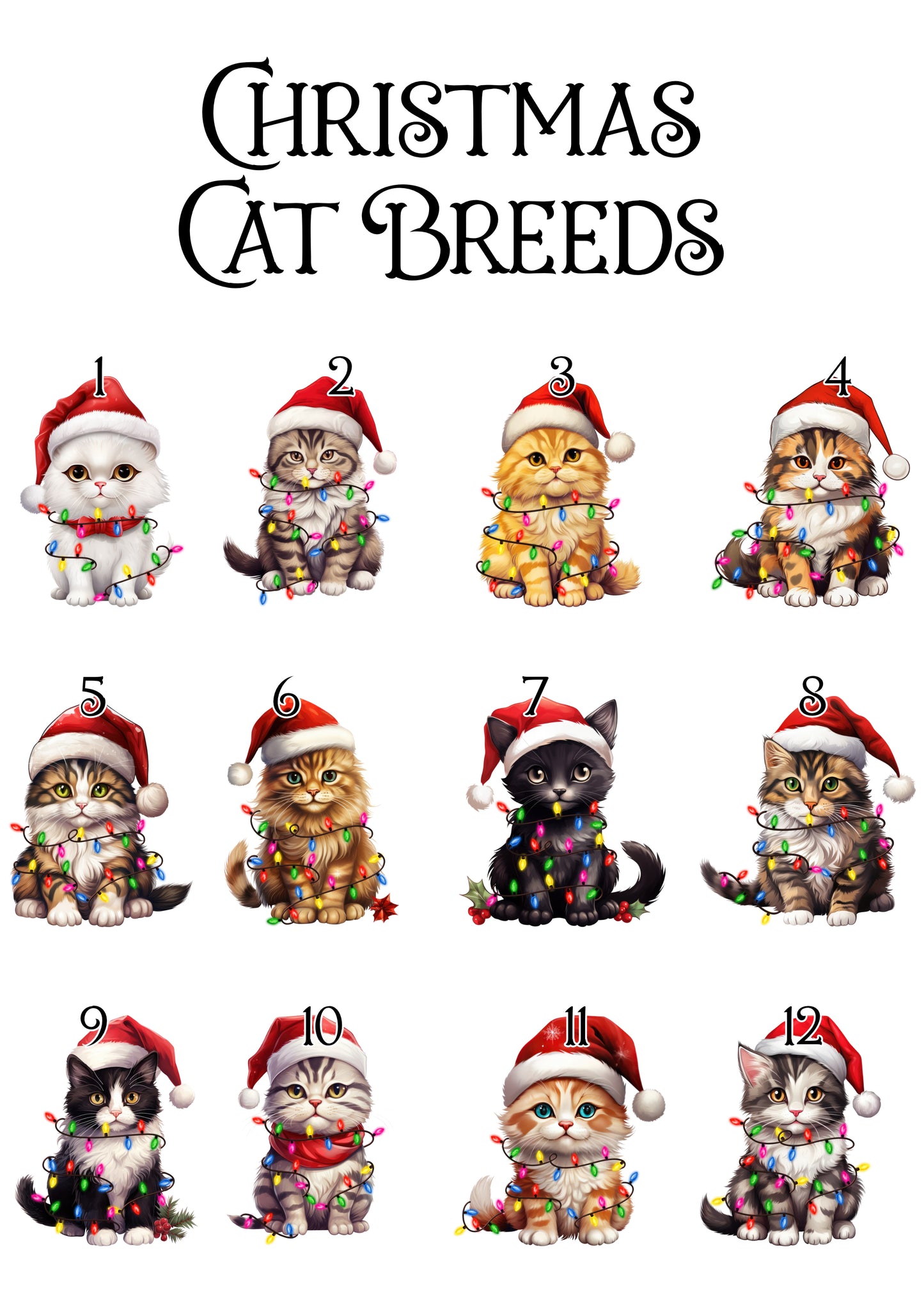 Personalised Christmas Santa Paws Cat Bauble