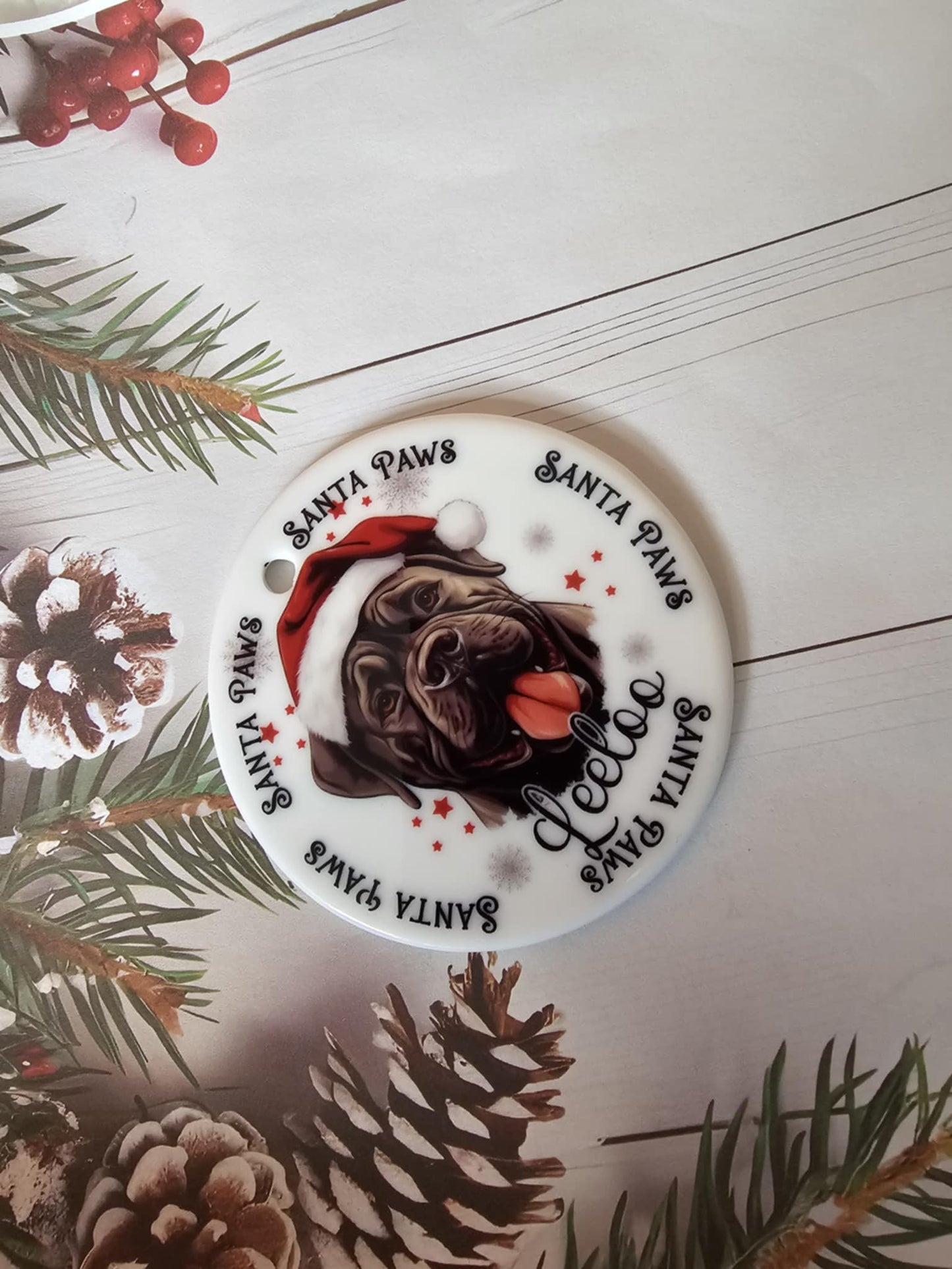 Personalised Pet Christmas Bundle