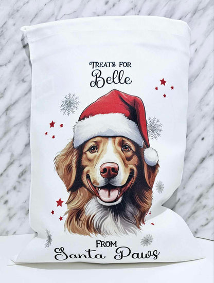 Personalised Santa Paws Dog Christmas Eve Bag