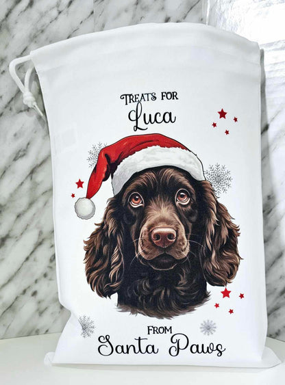 Personalised Santa Paws Dog Christmas Eve Bag