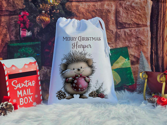 Whimsical Hedgehog