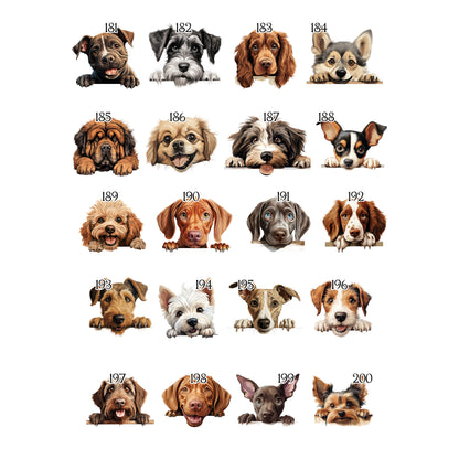 Personalised Dog Birthday Sack