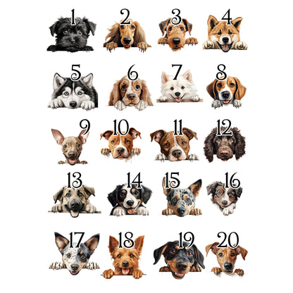 Personalised Dog Birthday Sack