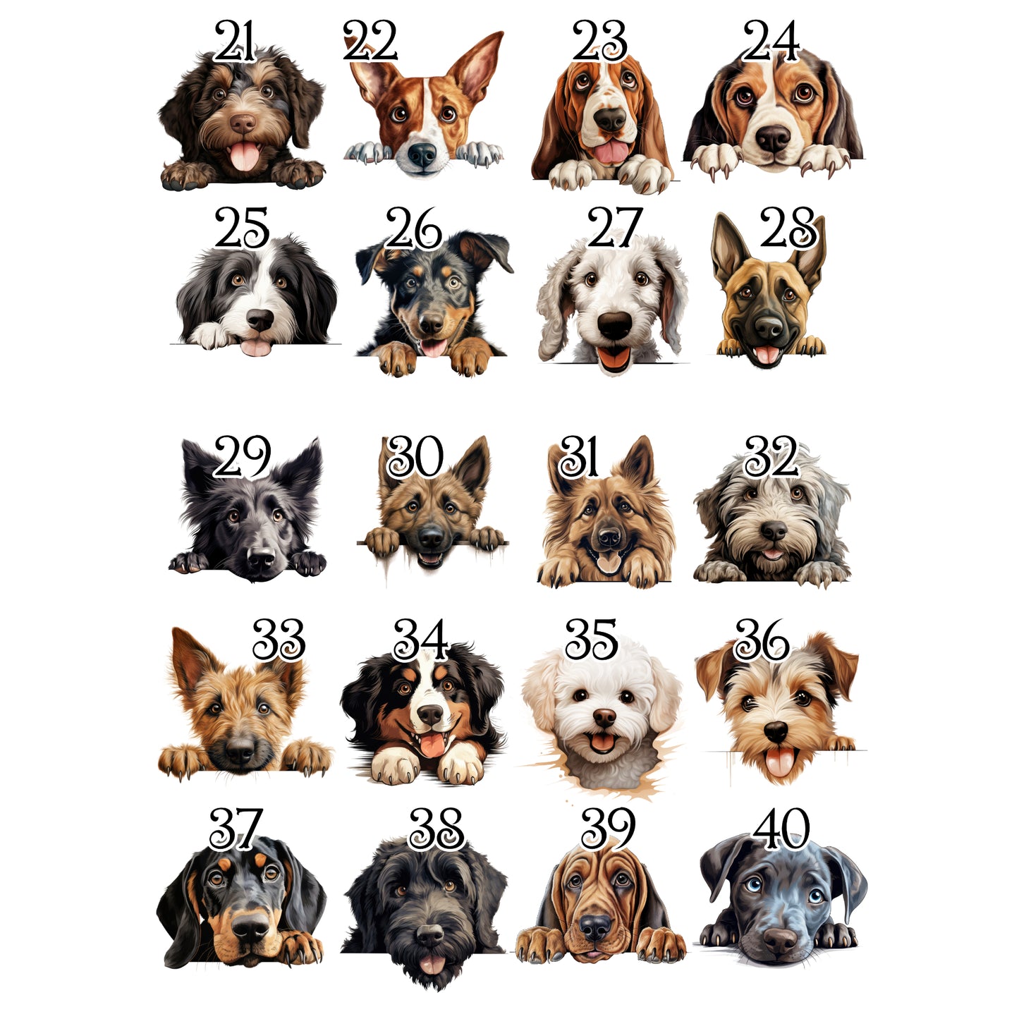 Personalised Dog Birthday Sack