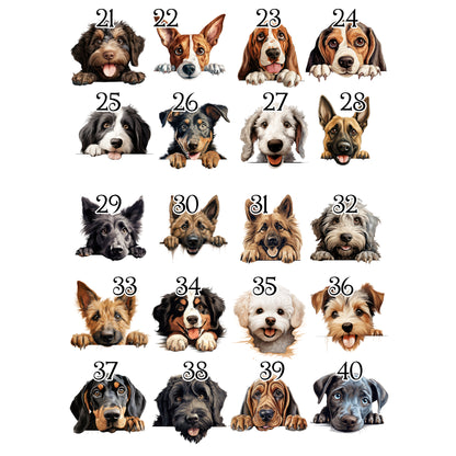 Personalised Dog Birthday Sack