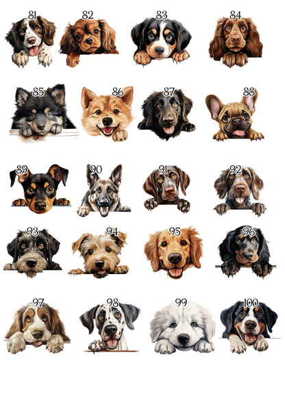 Personalised Dog Blanket