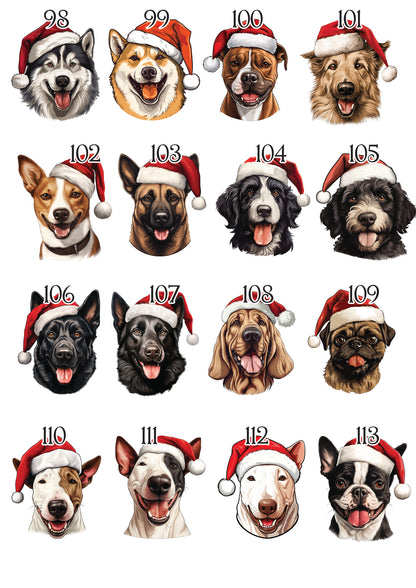 Personalised Pet Christmas Bundle