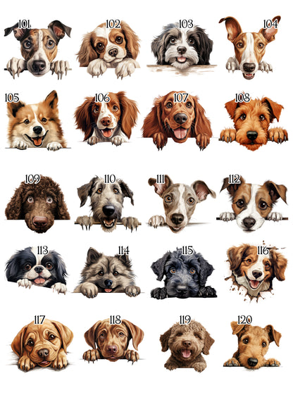 Personalised Dog Blanket