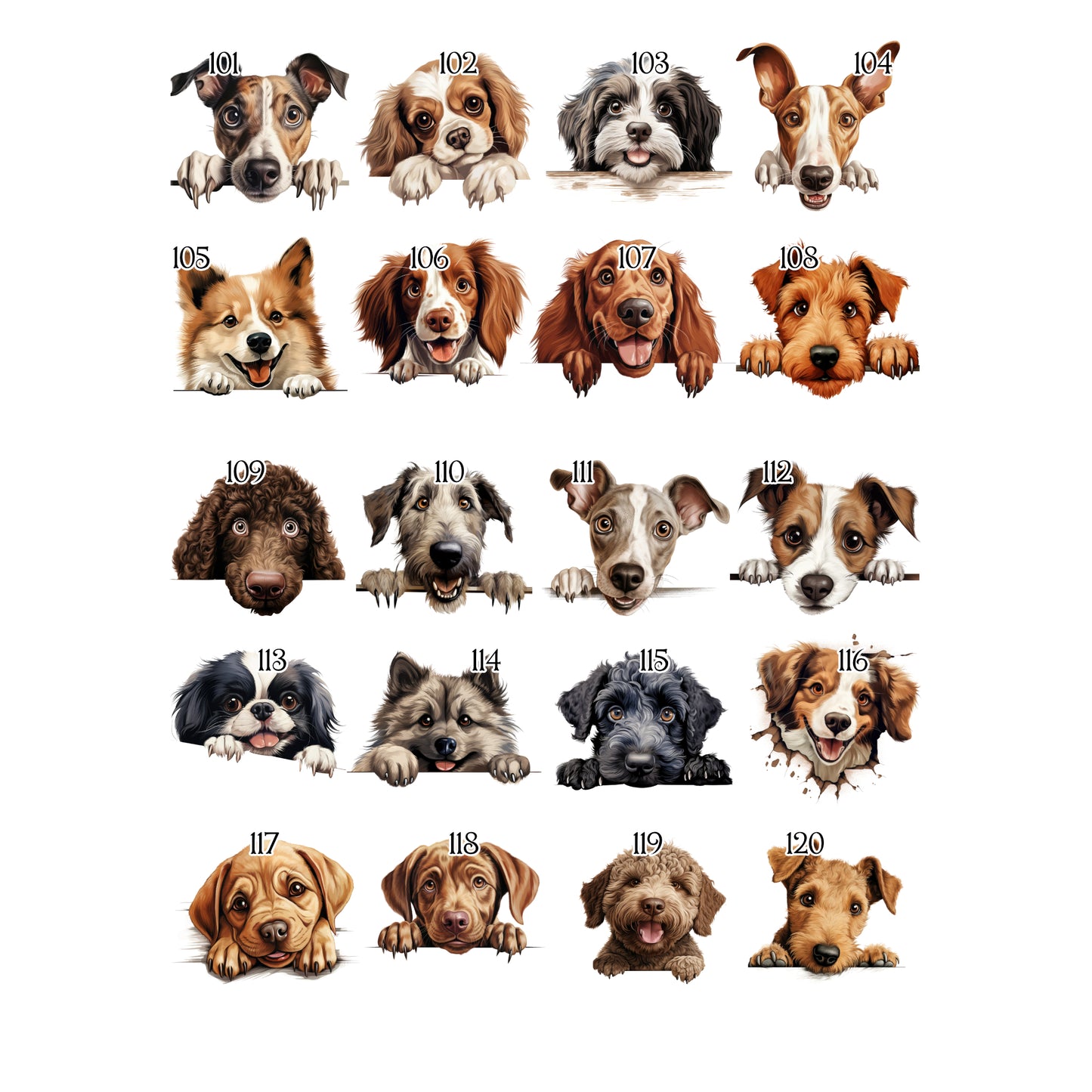 Personalised Dog Birthday Sack