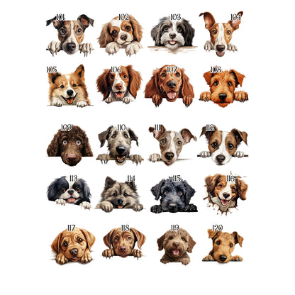 Personalised Dog Birthday Sack