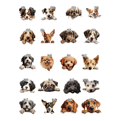 Personalised Dog Birthday Sack