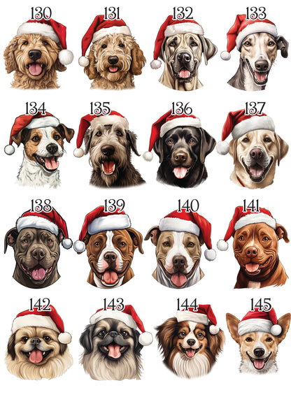 Personalised Pet Christmas Bundle
