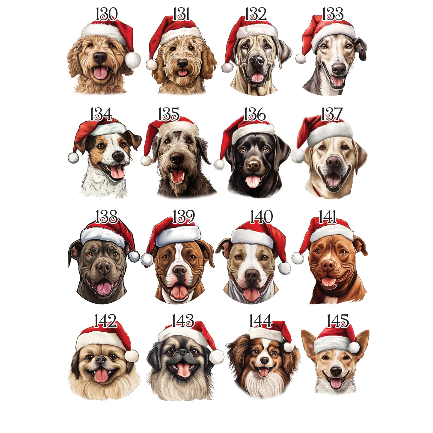 Personalised Pet Christmas Bundle