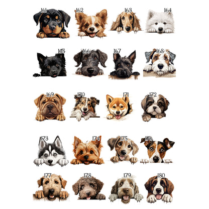 Personalised Dog Birthday Sack