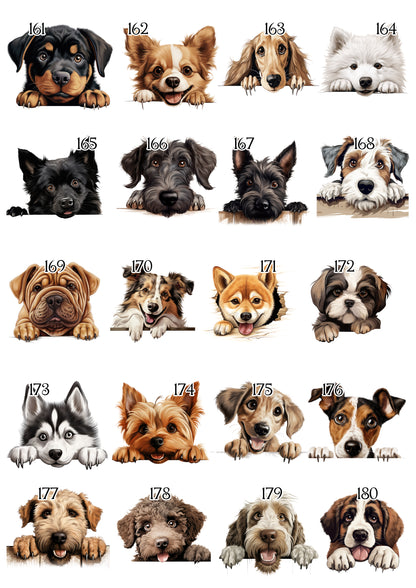 Personalised Dog Pet Document Folder