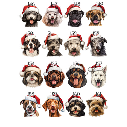 Personalised Pet Christmas Bundle
