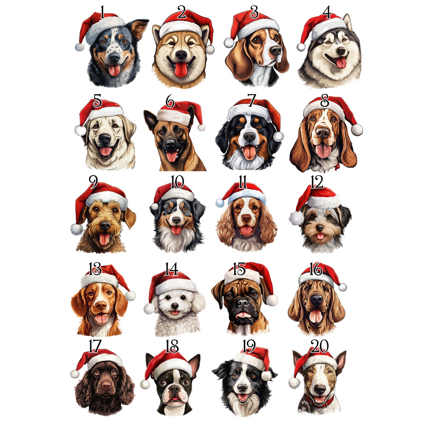 Personalised Pet Christmas Bundle