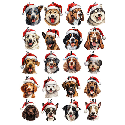 Personalised Pet Christmas Bundle