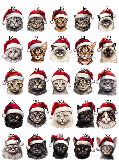 Personalised Santa Paws Cat Christmas Stocking