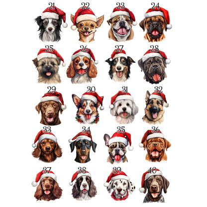 Personalised Pet Christmas Bundle
