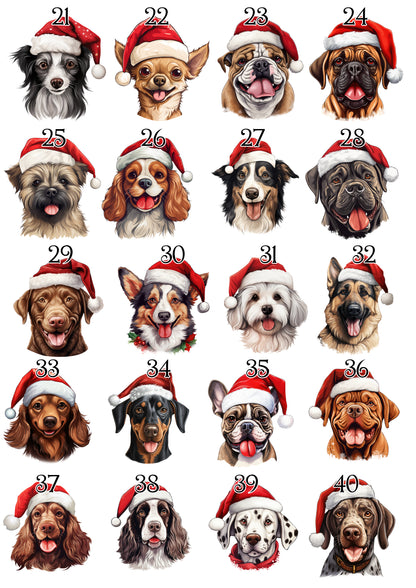 Personalised Pet Christmas Bundle
