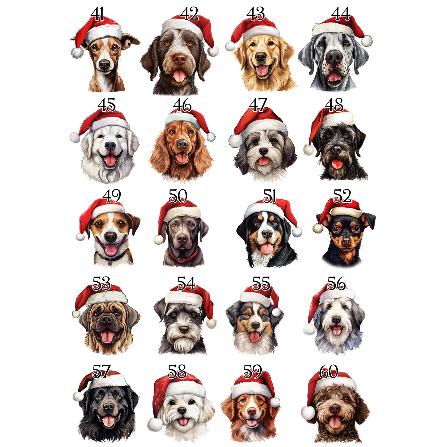 Personalised Pet Christmas Bundle