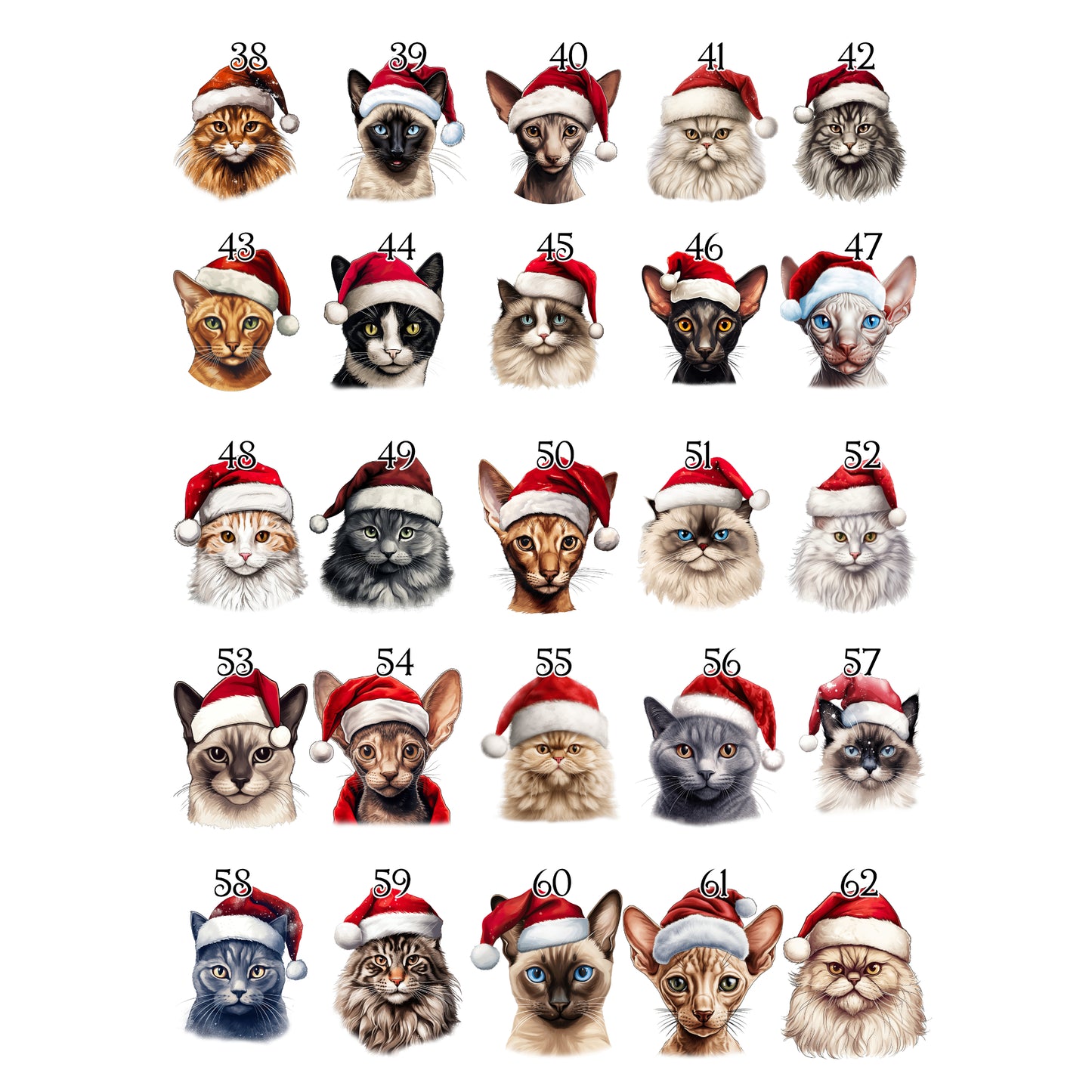 Personalised Cat Christmas Blanket