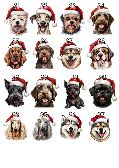 Personalised Pet Christmas Bundle