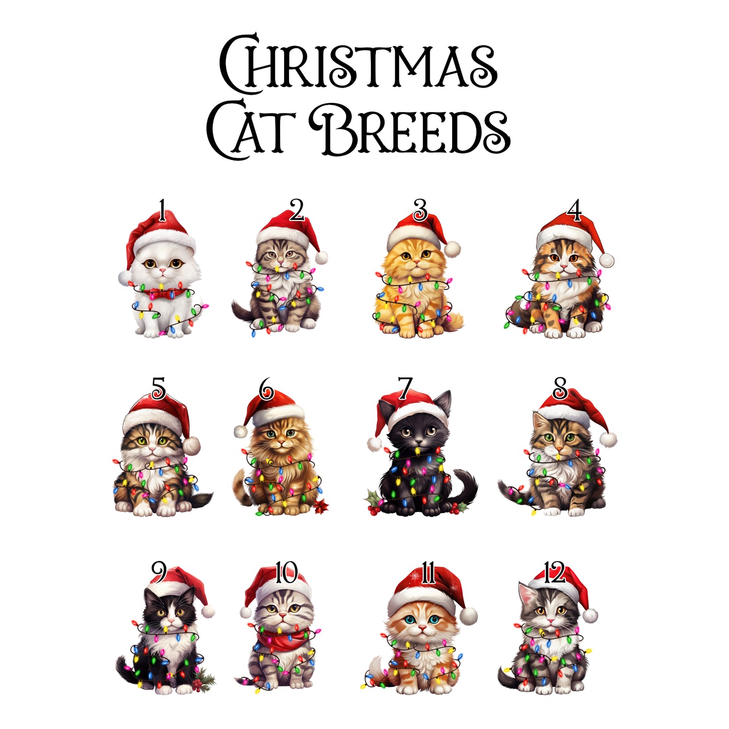 Personalised Christmas Santa Paws Cat Bauble
