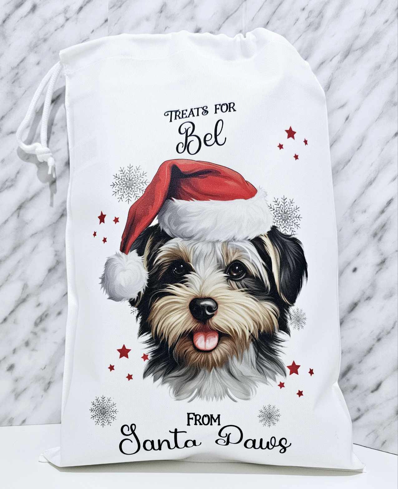 Personalised Santa Paws Dog Christmas Eve Bag