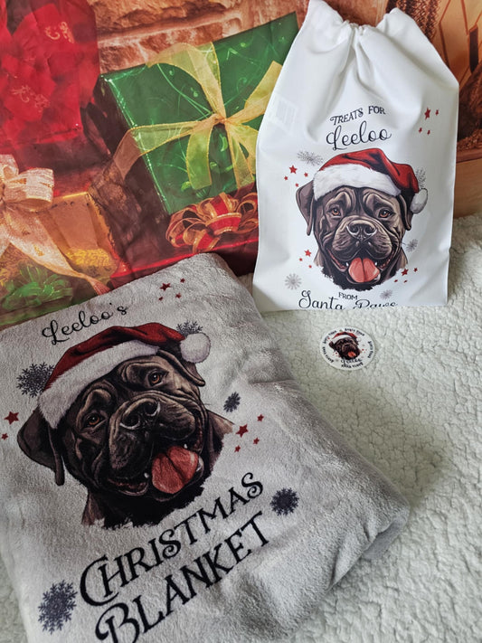 Personalised Pet Christmas Bundle