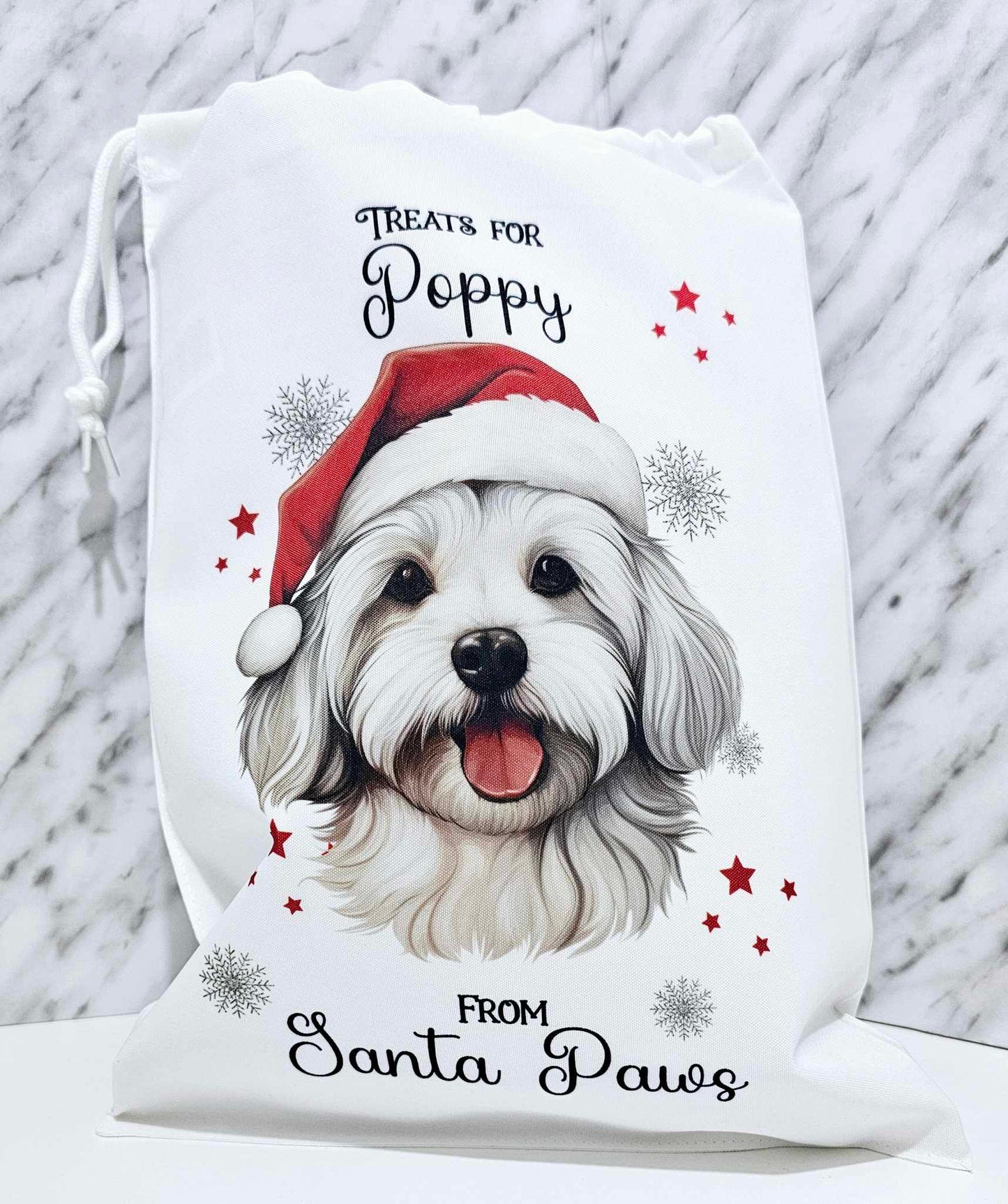 Personalised Santa Paws Dog Christmas Eve Bag