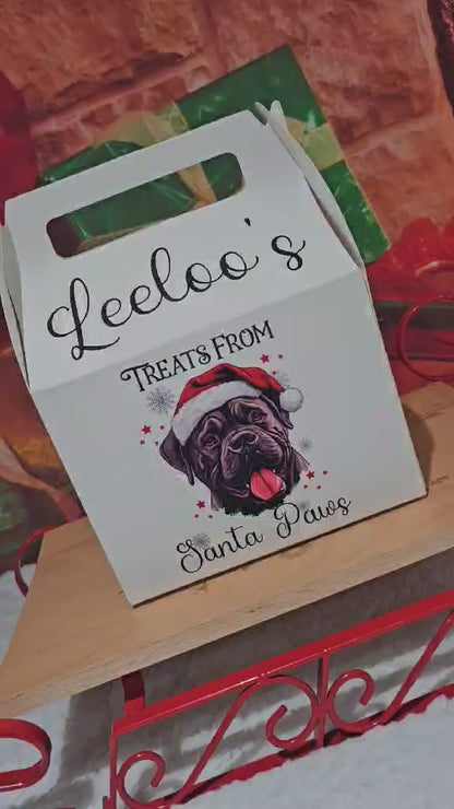 Personalised Santa Paws Dog Treat Box